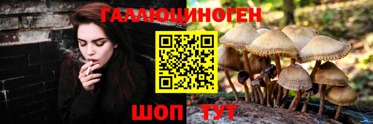 Галлюциногенные грибы GOLDEN TEACHER  Галлюциногенные грибы прущие грибы  Вход с VPN  Псков 