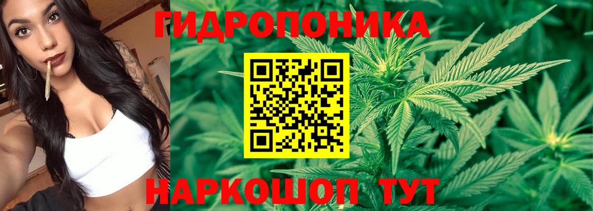 Псков  Бошки Шишки SATIVA & INDICA  Бошки Шишки сатива  Вход с VPN 