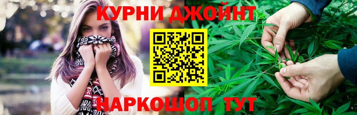 Бошки Шишки MAZAR Псков
